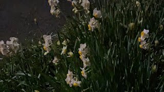家に着くまで(*´ω｀*)
