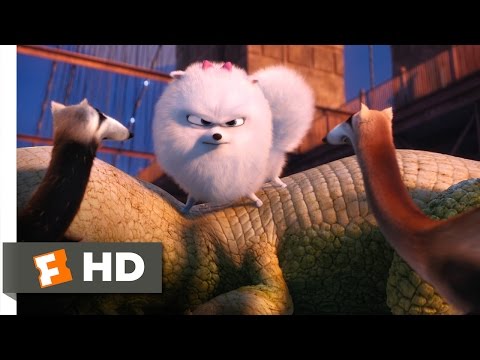 The Secret Life of Pets - Gidget Saves Max Scene (7/10) | Movieclips