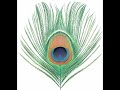 XTC - Your Dictionary