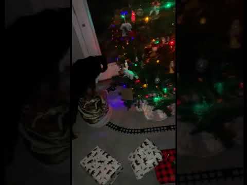 The Christmas Kaos [2021]