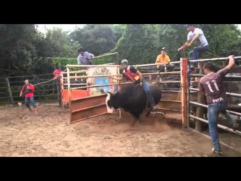 Bônus Cia A.B Aroldo Bianchini