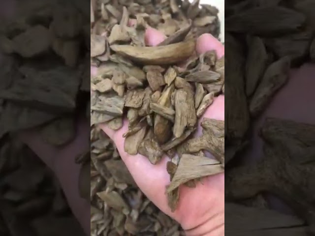 عود مروكي طبيعي