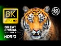 Great Animal Journey 8K VIDEO ULTRA HD 60FPS HDR Dolby Vision 8K 4K TV