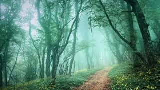 Ancient Forest • Calming Fantasy Music for Sleep & Relaxation