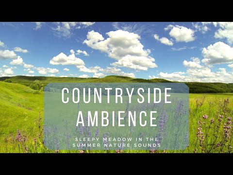 🐦 Countryside Ambience - Sleepy Meadow Nature Sounds for Sleeping and Reducing Stress