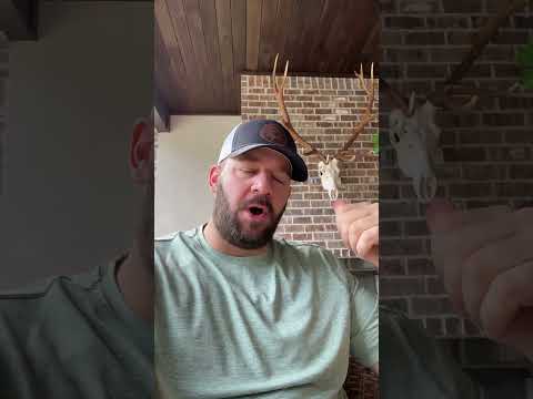 These People Are Just… #congress #langley #shortsfeed #shortsvideo #goa #atf Thumbnail