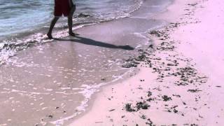 preview picture of video 'Cape Eleuthera resort: Lighthouse beach no footprints'