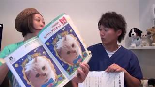 【シュガーペット＃３８】猫のまちがいさがしにチャレンジ！！