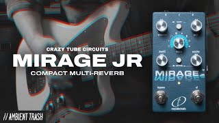 Video thumbnail for Crazy Tube Circuits - Mirage Jr. Reverb // Full Demo by ambienttrash
