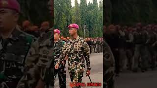 Download lagu pasukan elite Kopassus, Taifib Marinir, Bravo kopasgat mp3