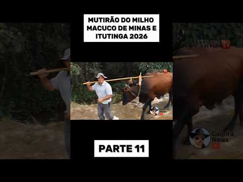MUTIRÃO DO MILHO MACUCO DE MINAS E ITUTINGA 2026