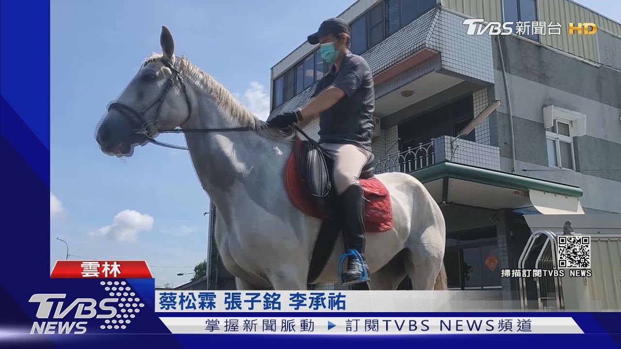 防疫宅在家！男花40萬買馬　微解封騎著牠上路