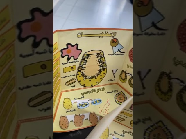 نموذج مشروع الإسفنجيات