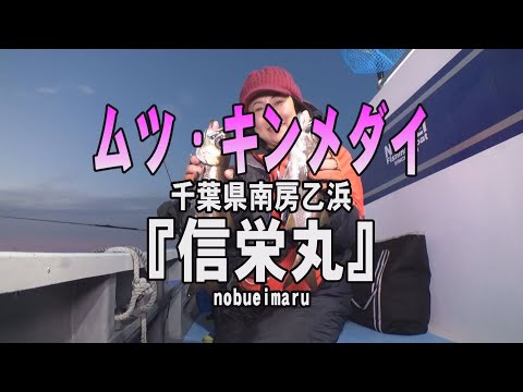 千葉県・乙浜沖、半夜クロムツ＆LTキンメ、クーラー満タン！ | 釣りビジョン マガジン | 釣りビジョン