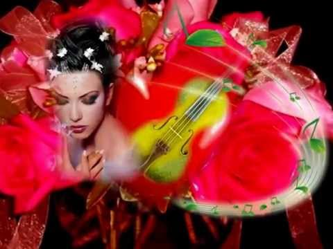 MOJE SRDCE HOUSLE JSOU - love story HD