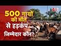 AAJTAK 2 JAISALMER के DUMPING YARD में मिला 500 गायों का शव म�