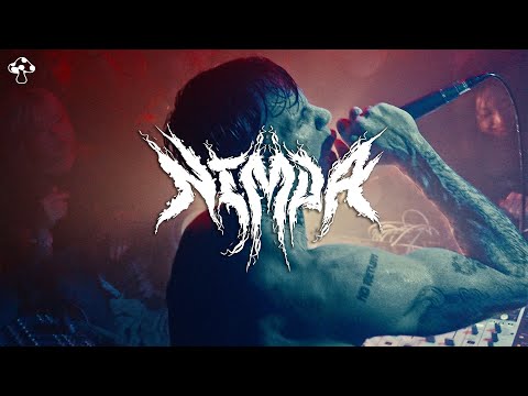 Mushroom Itaewon and NIMDA