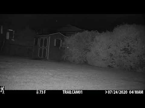 fox backyard rain airplane24JULY2020 0410am