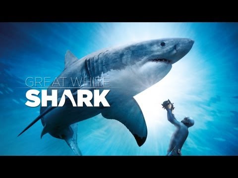 Great White Shark: Beyond The Cage Of Fear (0) Trailer
