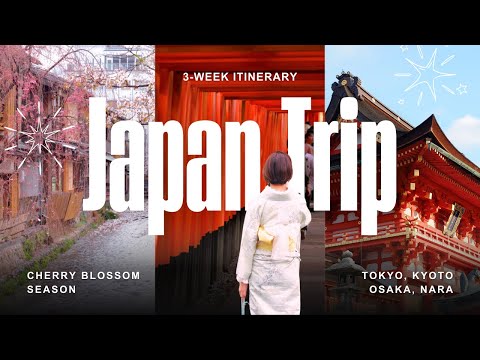 How to Spend 3 Weeks in Japan 🇯🇵 Tokyo, Kyoto, Osaka, Nara Travel Itinerary (Silent Vlog)