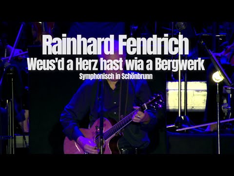 Rainhard Fendrich "Weus'd a Herz hast wia a Bergwerk" (Symphonisch in Schönbrunn)
