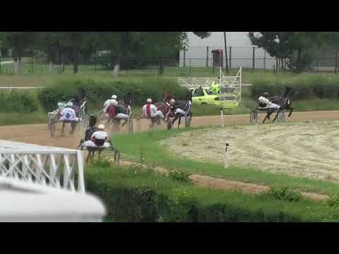 Trka "Morava" 06.06.2021 Messenger - Aleksandar Randjelović