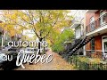 VLOG CANADA |  DERNIERS JOURS D'AUTOMNE À MONTRÉAL !