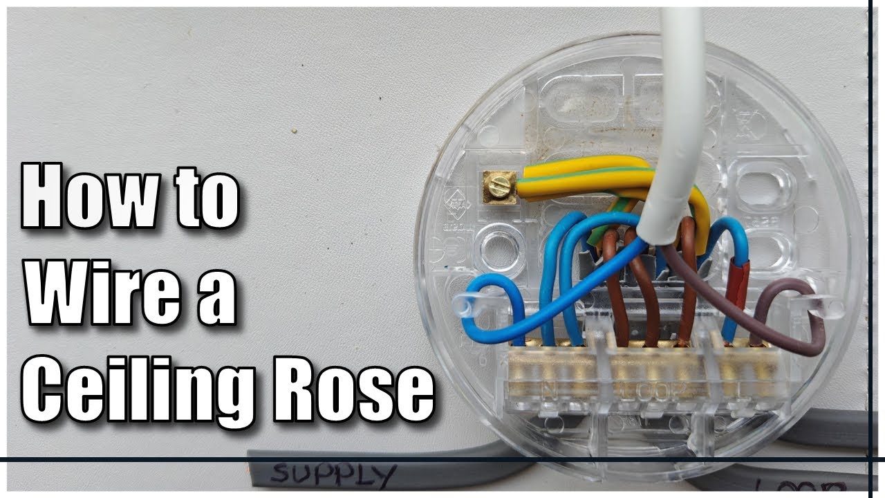 Click to Watch Video