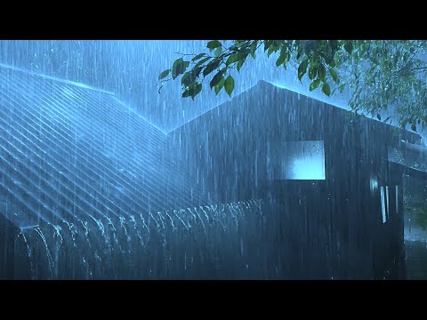 Beat Stress & Goodbye Insomnia in 3 Minutes with Heavy Rain & Thunder Sounds on a Tin Roof at Night