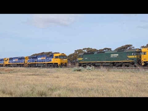 6MP4 Crossing 7902V At Manor Loop 17/10/25