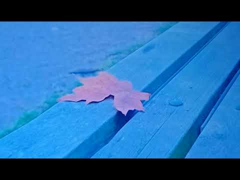 Thể hiện bởi Hoài Mỹ