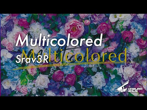 Srav3R - Multicolored