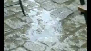 Video tribut a la cançó Junts de nou per primer cop de SAU