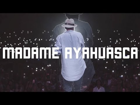 {Madame Ayahuasca} {Madame Ayahuasca} Best Songs
