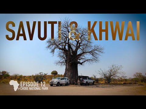 Through Savuti & Khwai: Botswana is Brilliant! | Grand Tour of Southern Africa, pt.12