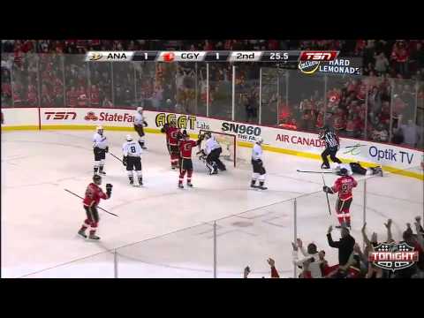 Anaheim Ducks at Calgary Flames   03\26\2014