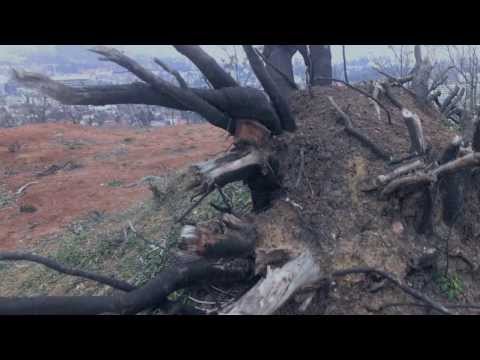 4motion - Glasul Profetic (The Prophetic Voice)