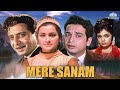 Mere Sanam 1965 Full Movie Biswajeet Asha Parekh Mumtaz Romance Hindi Movies NH Studioz