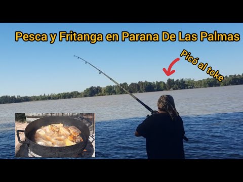 Pesca y Fritanga en Parana de las Palmas, Escobar. #pesca #fritanga #escobar 