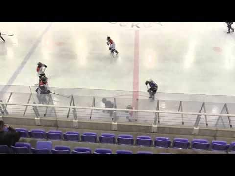 UTE U12 396 UTE B - Miskolci Jegesmedvék B