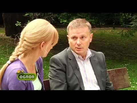 Poznaj zasady chińskiej sztuki planowania przestrzeni Feng Shui - Ogród Bez Tajemnic