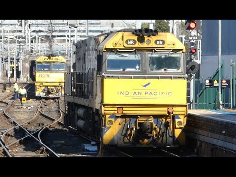 Australian Trains: The Indian Pacific at Sydney's Central Station