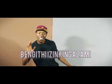 Izinkinga Zami (Visualiser)