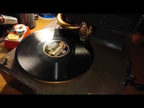 Brunswick Panatrope portable