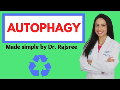 A Doctor's Guide to AUTOPHAGY and FASTING: Lose weight, reduce inflammation, and live longer!