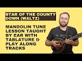 Star Of The County Down: Waltz (With Tabs & Play Along Tracks) - Mandolin Lesson