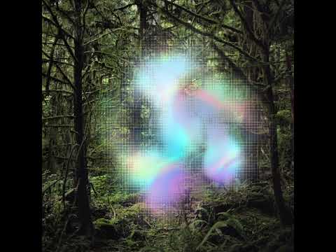 Ghosts of the Forest