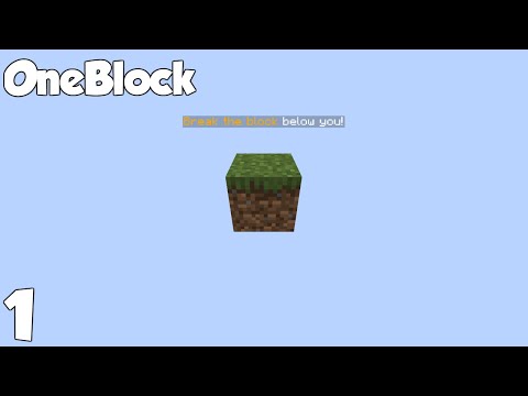 INSANE! Minecraft's ENDLESS-Block Challenge?! 😱