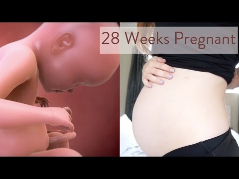 28 Weeks Pregnant: What You Need To Know - Channel Mum