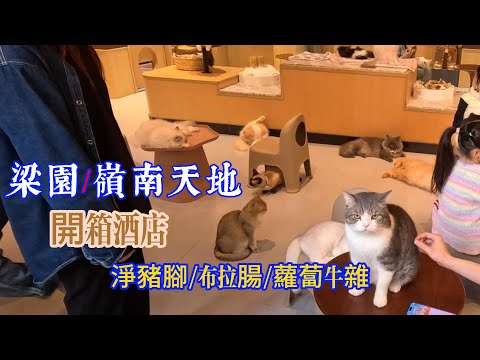 廣東四大名園之一[梁園]，品嚐各種美食小喫，開箱酒店，嶺南天地#Travel in China #佛山自由行6